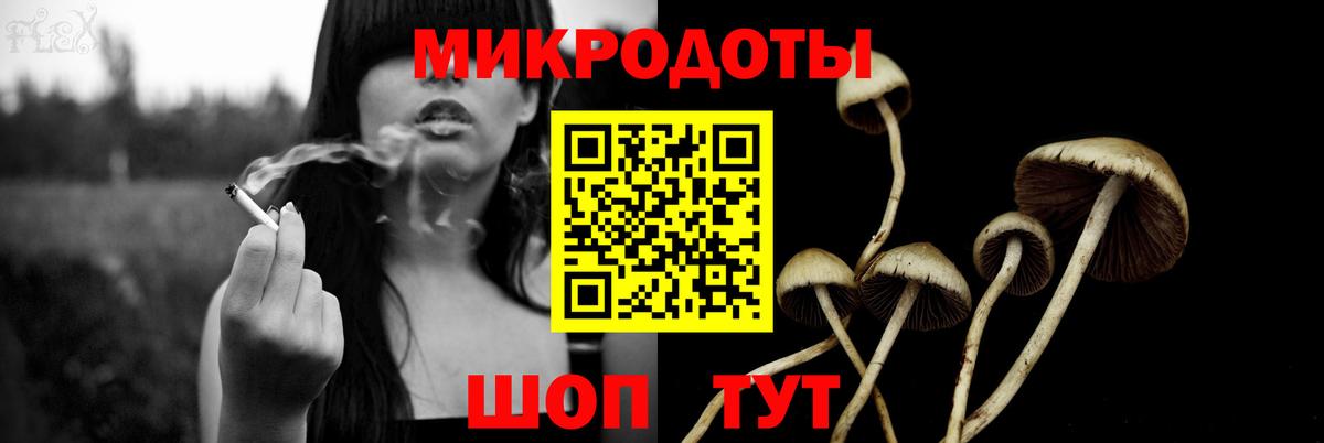 Галлюциногенные грибы Magic Shrooms Малгобек